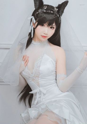 我的狐朋狗友