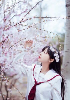 卡拉是条狗