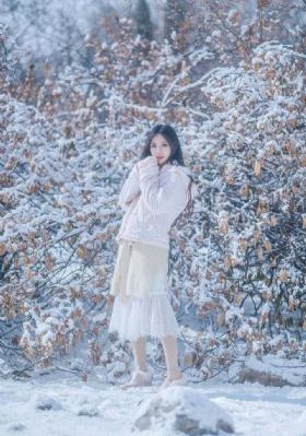 菜鸟王爷闹江湖